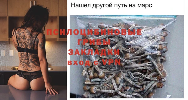 МДПВ Ладушкин
