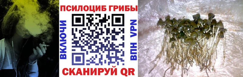 Галлюциногенные грибы GOLDEN TEACHER  Нижняя Салда 